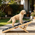 Dog Ramp with Non - Slip and Adjustable Height 39.3 X 15.7 X 1.8 in - Dog Time Outlet
