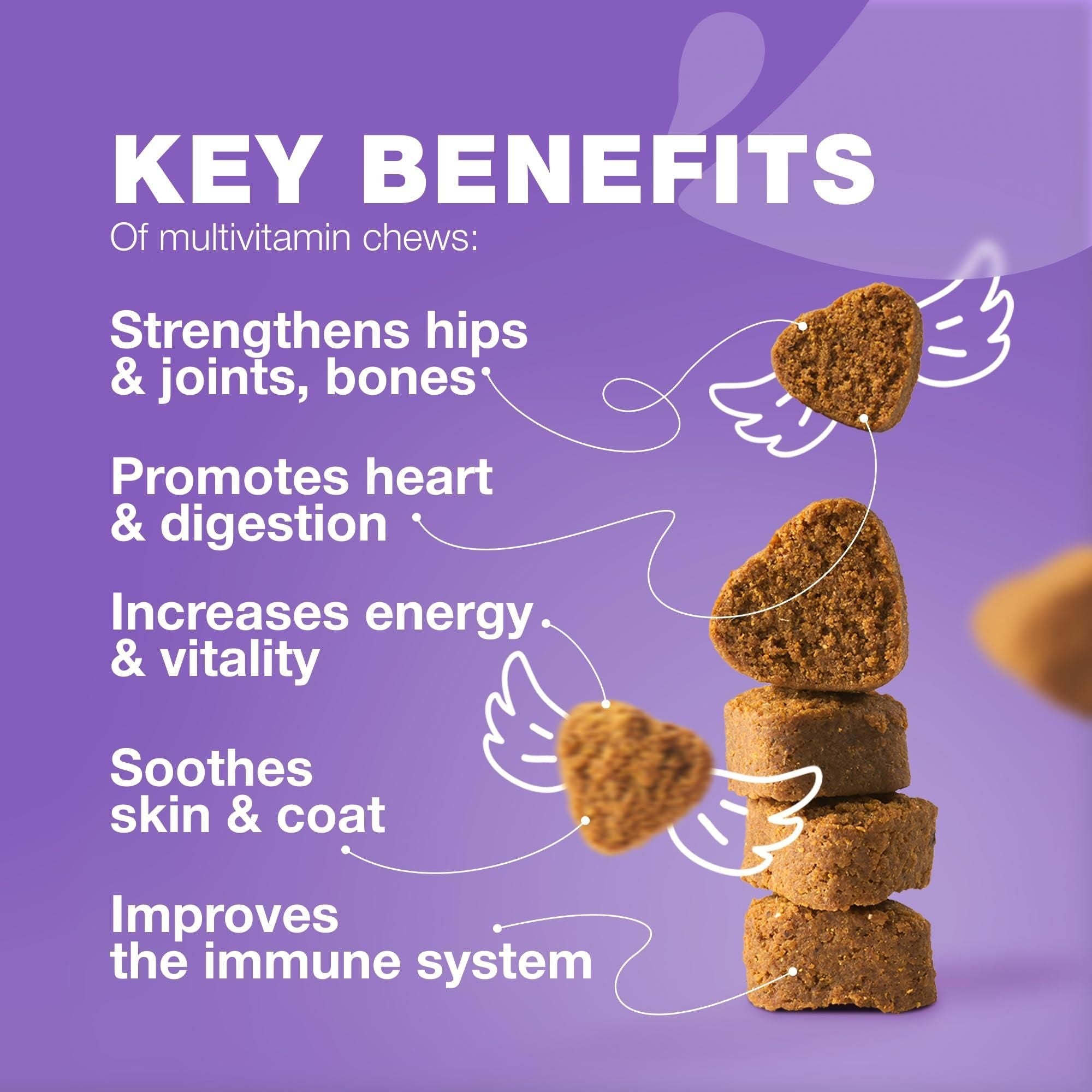 Dog Vitamins 15 in 1 Dog Multivitamin Chews with MSM for Hip & Joint Health Dog Supplement for Itchy Skin Relief Multivitamin for Dogs Immune Support with Enzymes Skin & Coat Mobility Support - Dog Time Outlet
