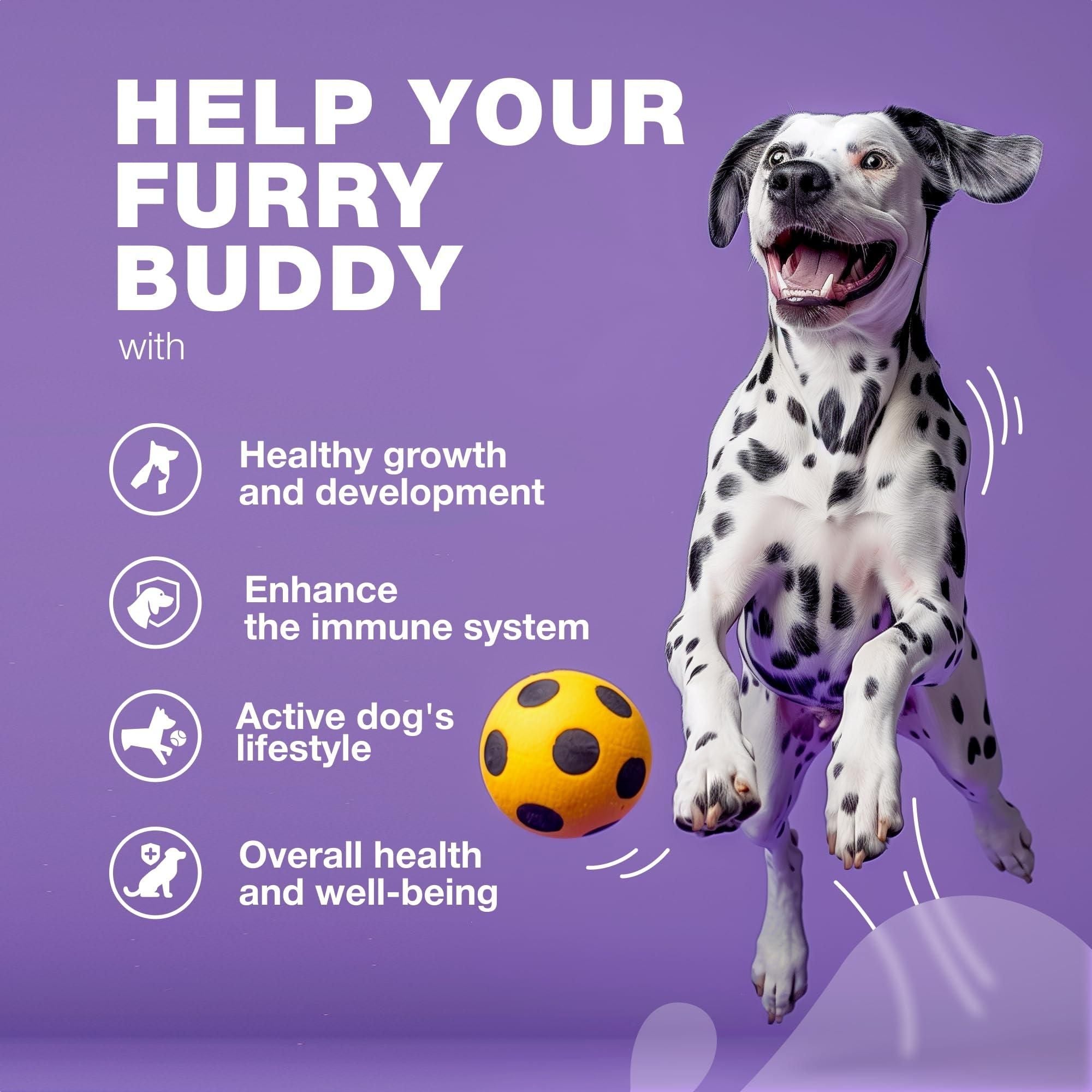 Dog Vitamins 15 in 1 Dog Multivitamin Chews with MSM for Hip & Joint Health Dog Supplement for Itchy Skin Relief Multivitamin for Dogs Immune Support with Enzymes Skin & Coat Mobility Support - Dog Time Outlet