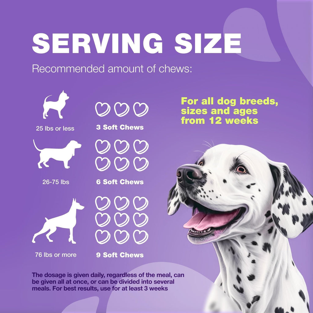 Dog Vitamins 15 in 1 Dog Multivitamin Chews with MSM for Hip & Joint Health Dog Supplement for Itchy Skin Relief Multivitamin for Dogs Immune Support with Enzymes Skin & Coat Mobility Support - Dog Time Outlet