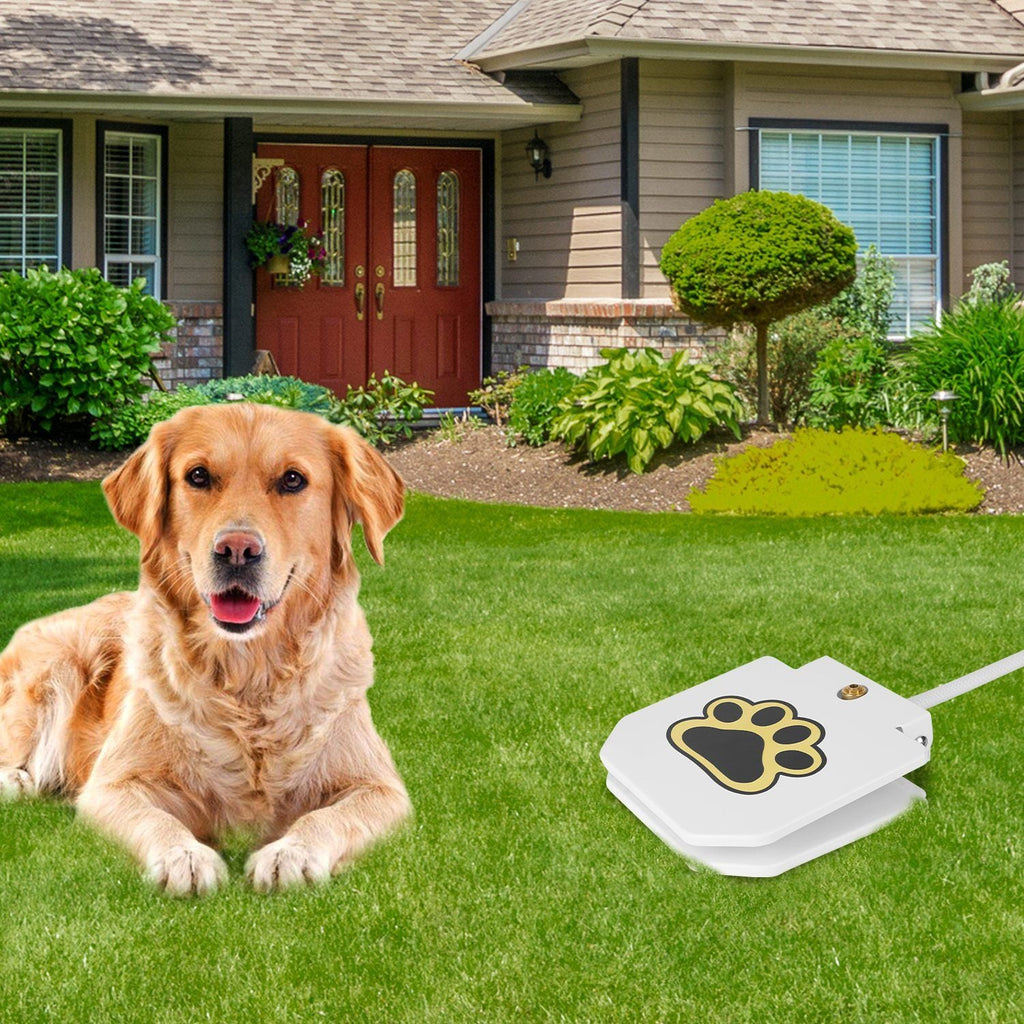 Dog Water Fountain Outdoor Dog Pet Water Dispenser Step - on Activated Sprinkler - Dog Time Outlet