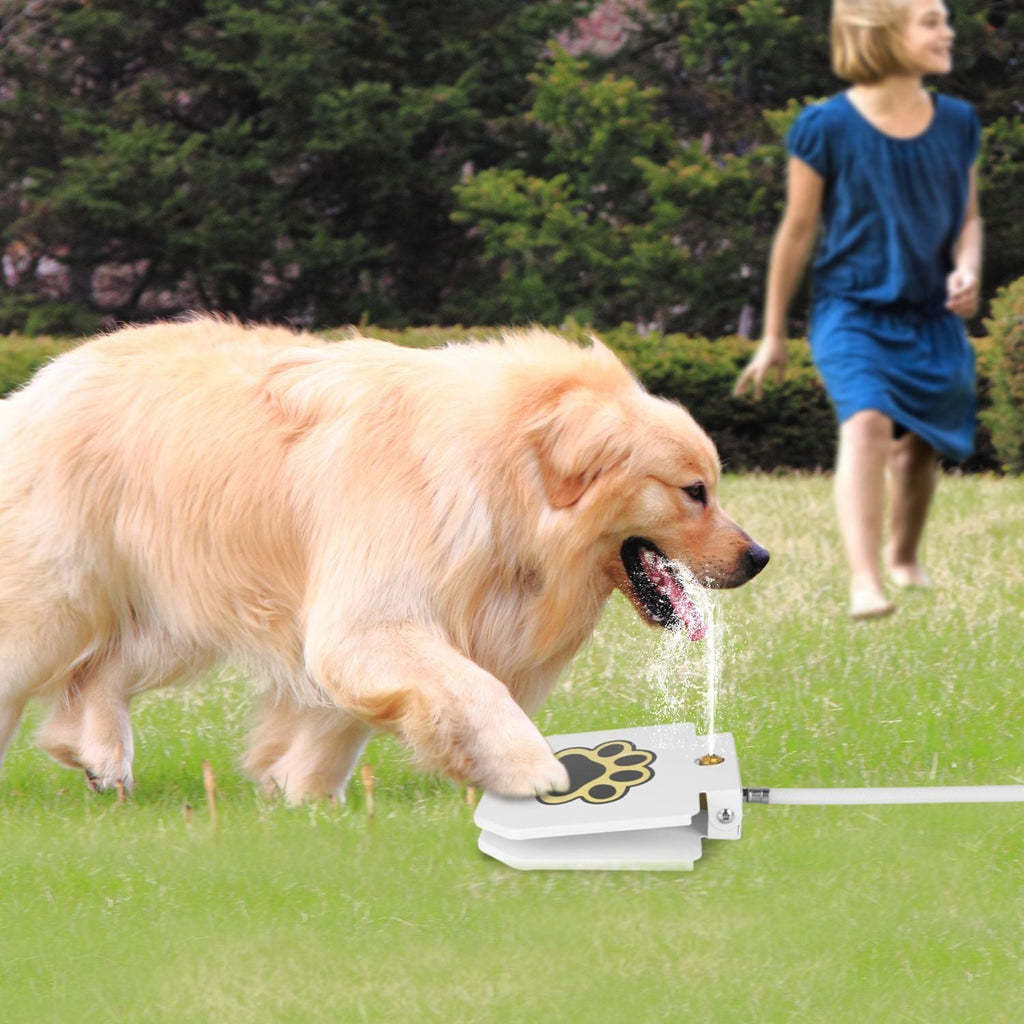 Dog Water Fountain Outdoor Dog Pet Water Dispenser Step - on Activated Sprinkler - Dog Time Outlet