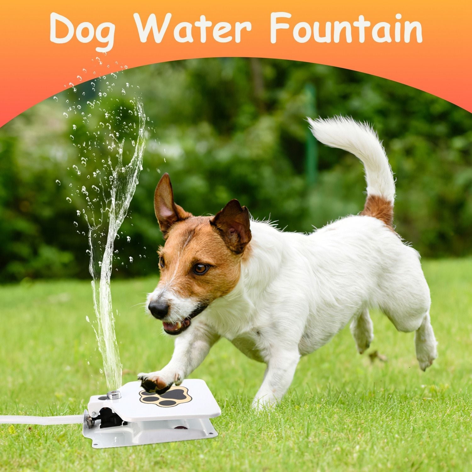 Dog Water Fountain Outdoor Dog Pet Water Dispenser Step - on Activated Sprinkler - Dog Time Outlet