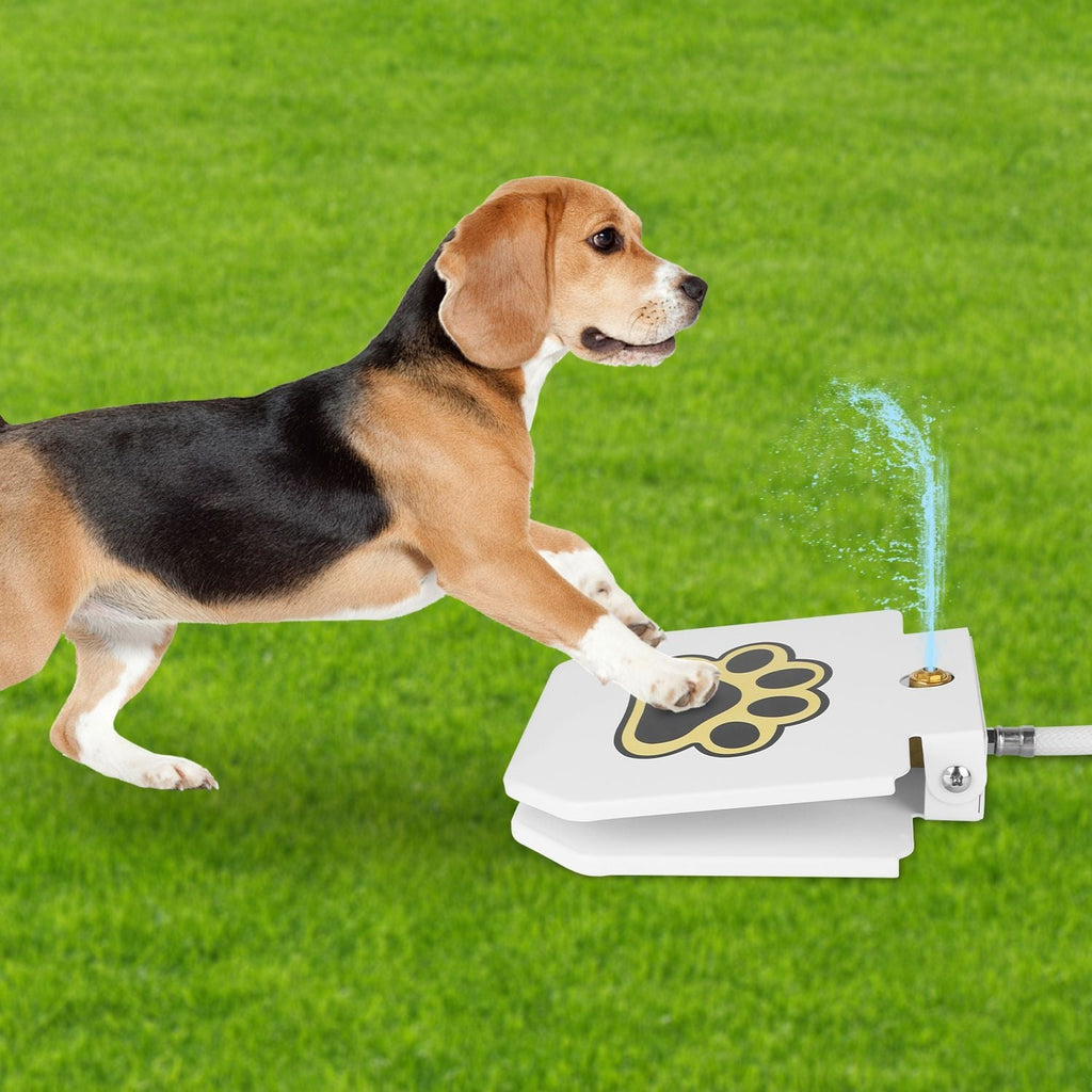 Dog Water Fountain Outdoor Dog Pet Water Dispenser Step - on Activated Sprinkler - Dog Time Outlet