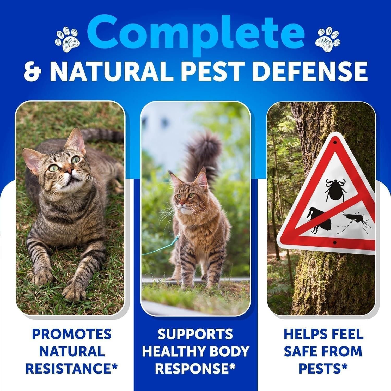 Flea Treatment for Cats Natural Flea and Tick Prevention Supplement for Cats Kittens Chewable Daily Oral Pills with Vitamins 135 Soft Chews Skin & Coat Dental treats Digestion - Dog Time Outlet