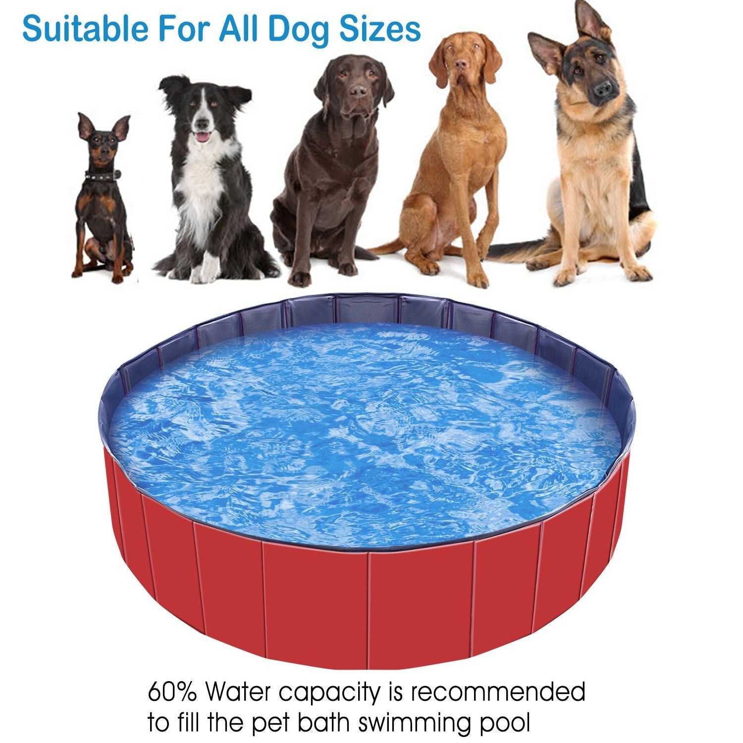 Foldable Pet Swimming Pool PVC Kiddie Baby Dog Swim Pool Bathing Tub Playmat Kids Pools - Dog Time Outlet