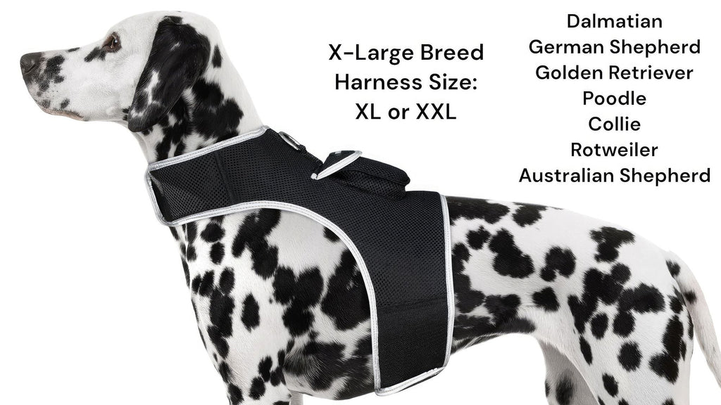 Get Realtime Pet Locations w/ Pet Tracker Mini Cat Dog GPS Tracking Collar Size:L - Dog Time Outlet