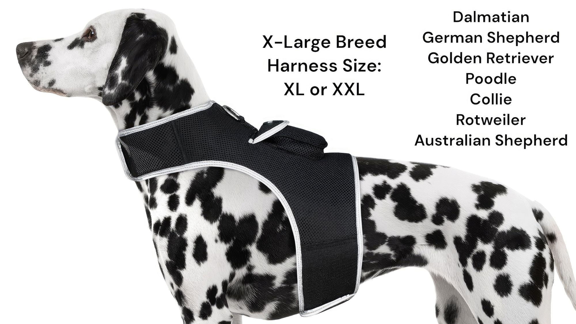 Get Realtime Pet Locations w/ Pet Tracker Mini Cat Dog GPS Tracking Collar Size:L - Dog Time Outlet