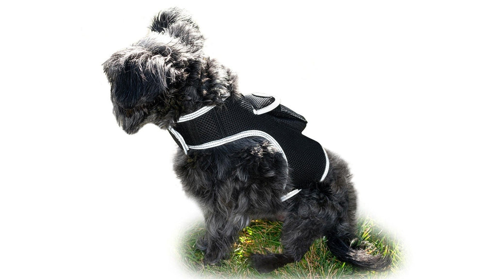 Get Realtime Pet Locations w/ Pet Tracker Mini Cat Dog GPS Tracking Collar Size:L - Dog Time Outlet