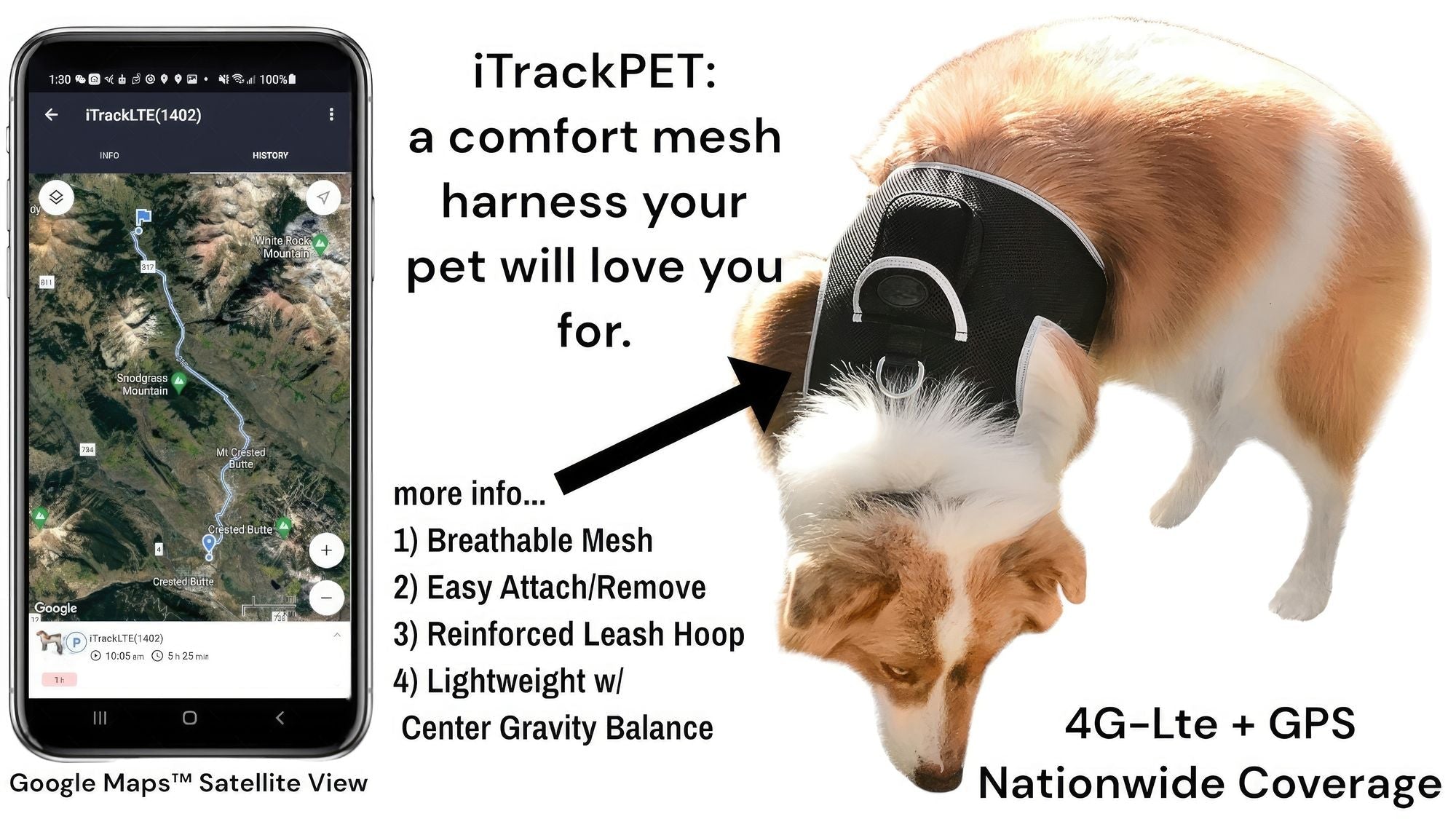 Get Realtime Pet Locations w/ Pet Tracker Mini Cat Dog GPS Tracking Collar Size:L - Dog Time Outlet