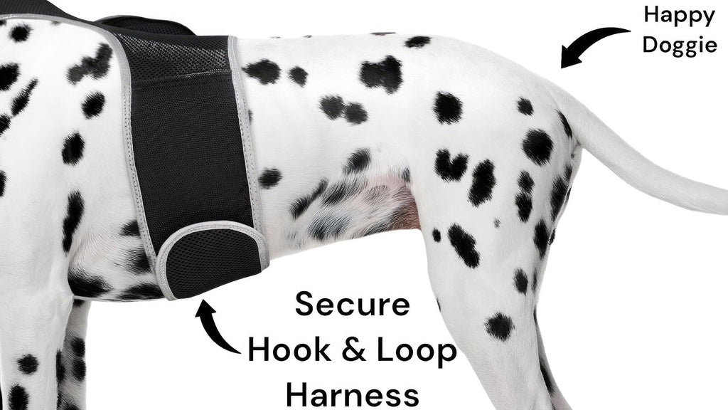 Get Realtime Pet Locations w/ Pet Tracker Mini Cat Dog GPS Tracking Collar Size:L - Dog Time Outlet
