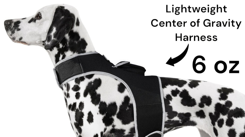 Get Realtime Pet Locations w/ Pet Tracker Mini Cat Dog GPS Tracking Collar Size:L - Dog Time Outlet