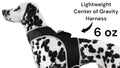 Get Realtime Pet Locations w/ Pet Tracker Mini Cat Dog GPS Tracking Collar Size:L - Dog Time Outlet