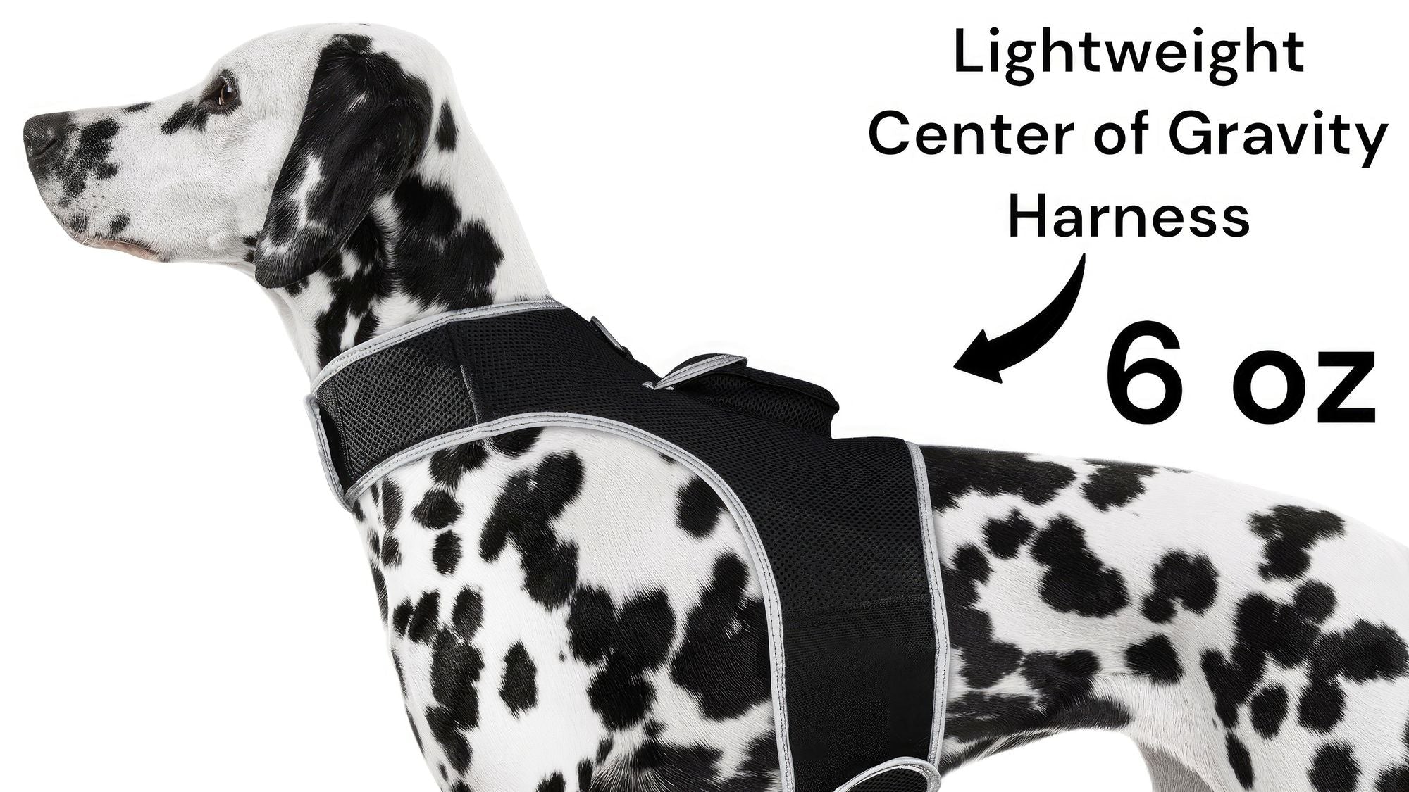 Get Realtime Pet Locations w/ Pet Tracker Mini Cat Dog GPS Tracking Collar Size:L - Dog Time Outlet
