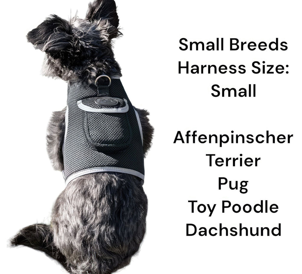 Get Realtime Pet Locations w/ Pet Tracker Mini Cat Dog GPS Tracking Collar Size:L - Dog Time Outlet