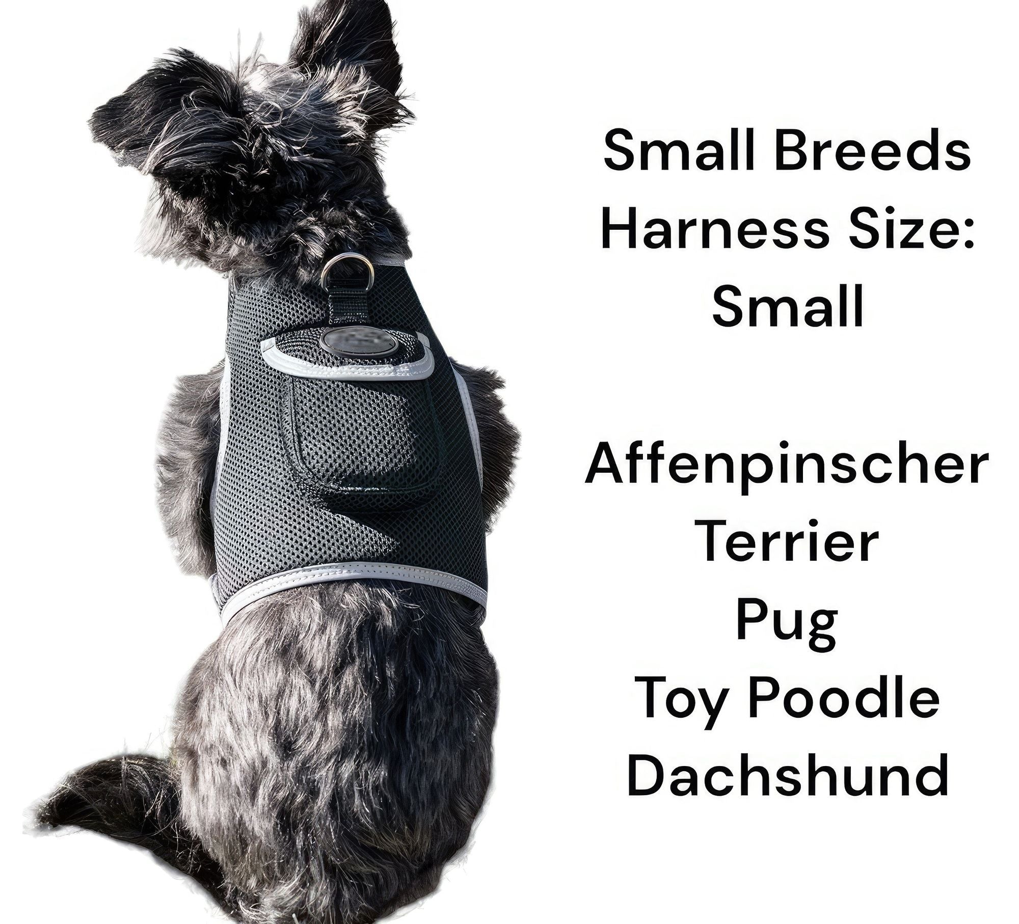 Get Realtime Pet Locations w/ Pet Tracker Mini Cat Dog GPS Tracking Collar Size:L - Dog Time Outlet