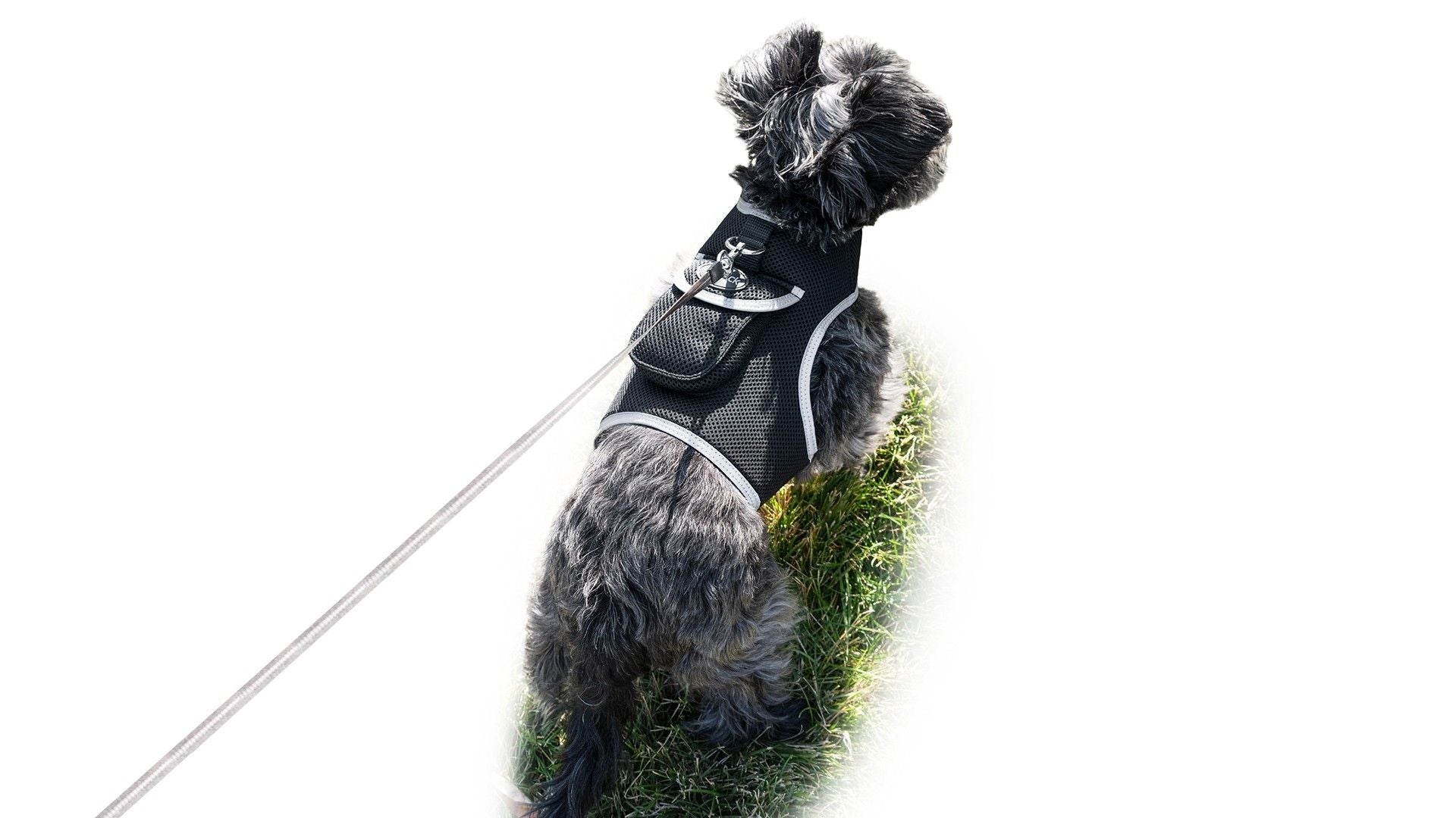 Get Realtime Pet Locations w/ Pet Tracker Mini Cat Dog GPS Tracking Collar Size:L - Dog Time Outlet