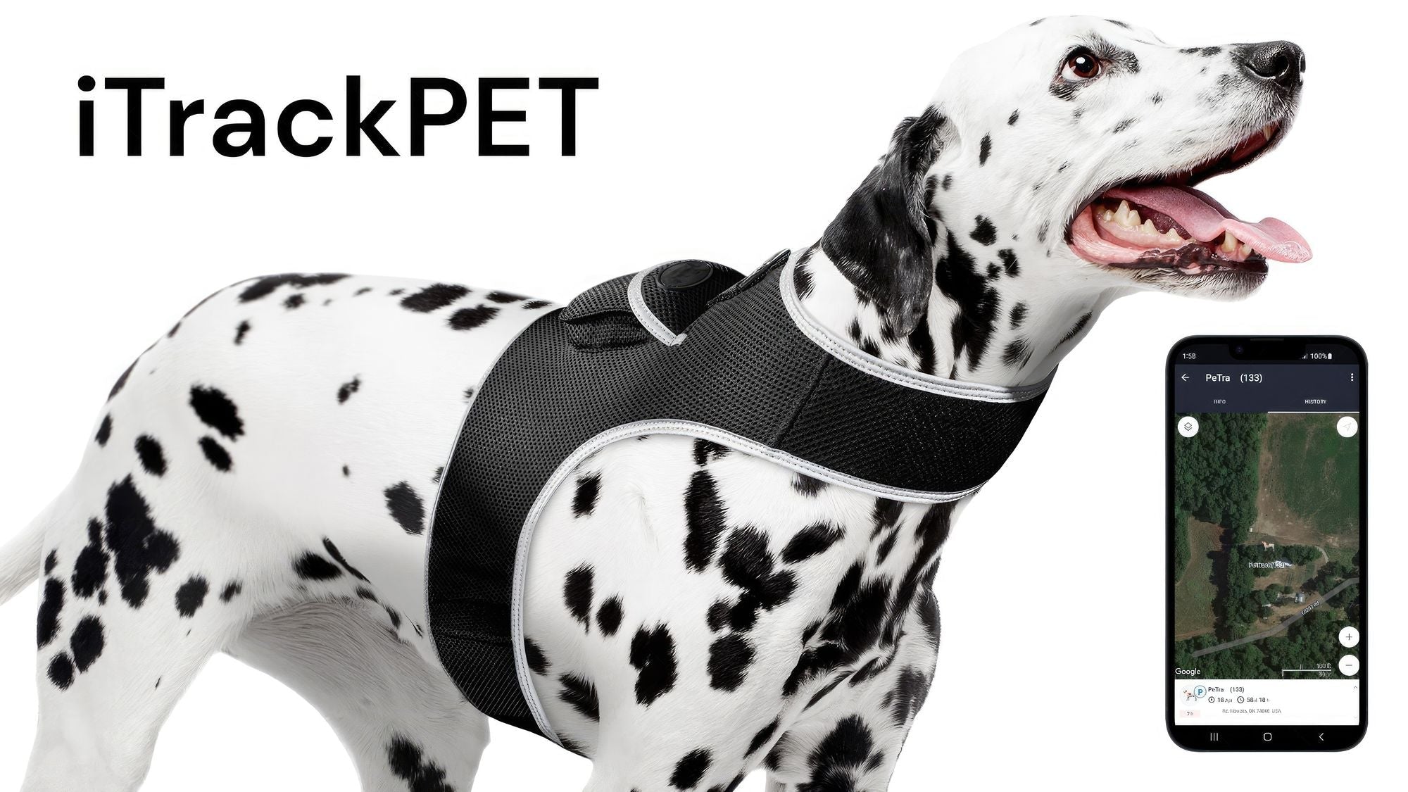 Get Realtime Pet Locations w/ Pet Tracker Mini Cat Dog GPS Tracking Collar Size:L - Dog Time Outlet