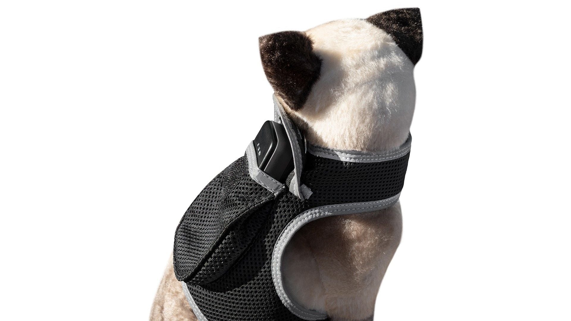 Get Realtime Pet Locations w/ Pet Tracker Mini Cat Dog GPS Tracking Collar Size:L - Dog Time Outlet