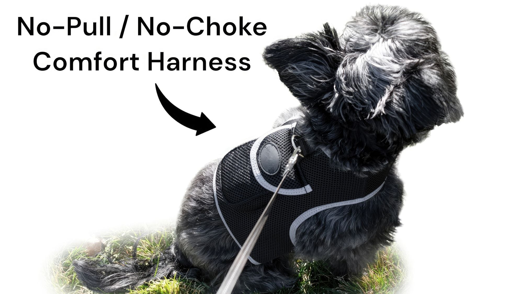 Get Realtime SMS/Live Tracking Data w/ Pet Tracker GPS Dog Collar Tracker Size:M - Dog Time Outlet
