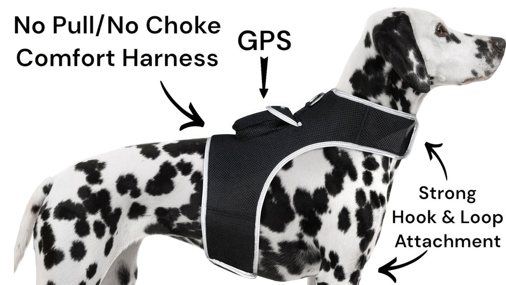 Get Realtime SMS/Live Tracking Data w/ Pet Tracker GPS Dog Collar Tracker Size:M - Dog Time Outlet