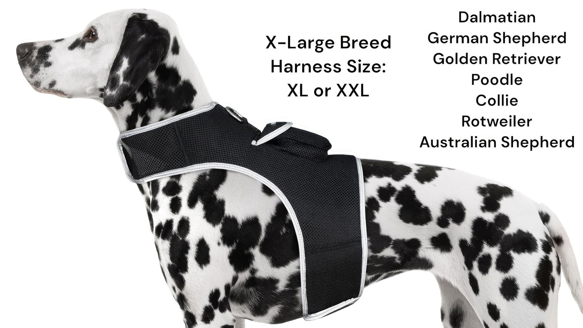 Get Realtime SMS/Live Tracking Data w/ Pet Tracker GPS Dog Collar Tracker Size:M - Dog Time Outlet