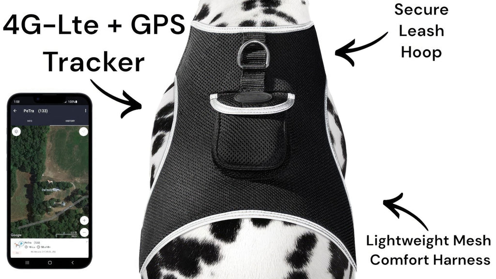 Get Realtime SMS/Live Tracking Data w/ Pet Tracker GPS Dog Collar Tracker Size:M - Dog Time Outlet