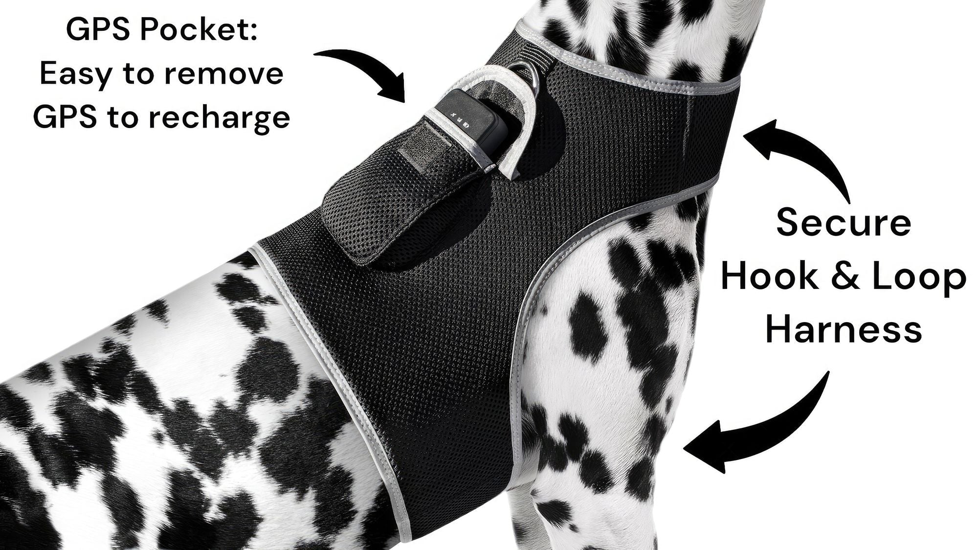 Get Realtime SMS/Live Tracking Data w/ Pet Tracker GPS Dog Collar Tracker Size:M - Dog Time Outlet