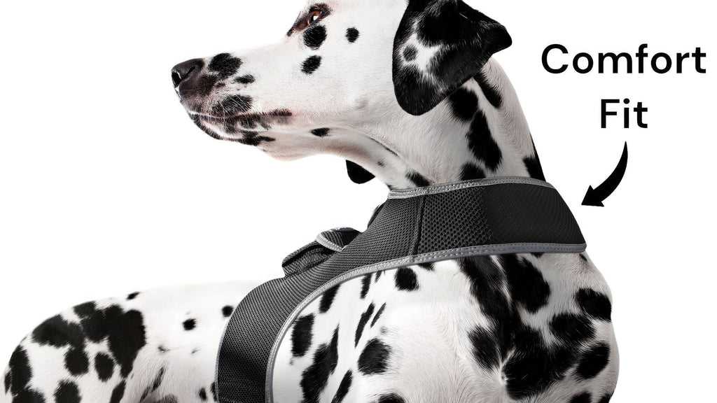 Get Realtime SMS/Live Tracking Data w/ Pet Tracker GPS Dog Collar Tracker Size:M - Dog Time Outlet