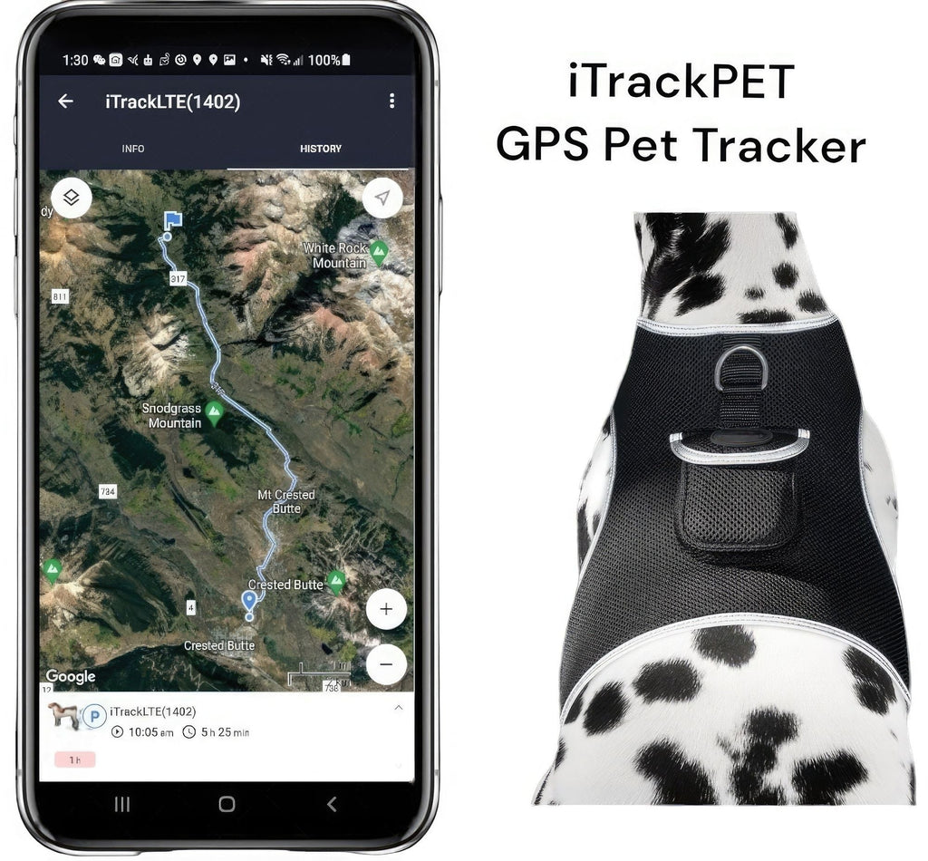 Get Realtime SMS/Live Tracking Data w/ Pet Tracker GPS Dog Collar Tracker Size:M - Dog Time Outlet