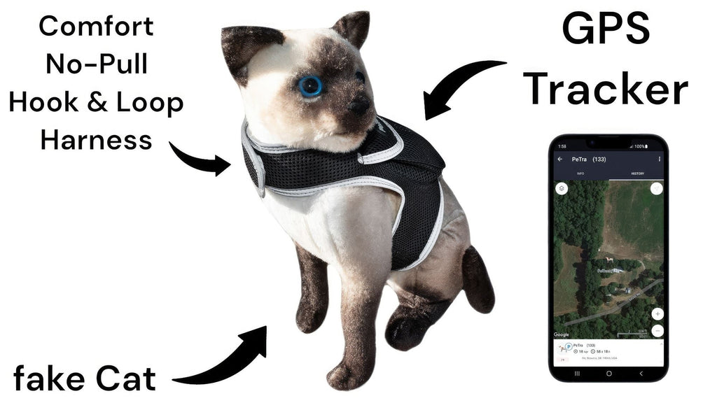 Get Realtime SMS/Live Tracking Data w/ Pet Tracker GPS Dog Collar Tracker Size:M - Dog Time Outlet