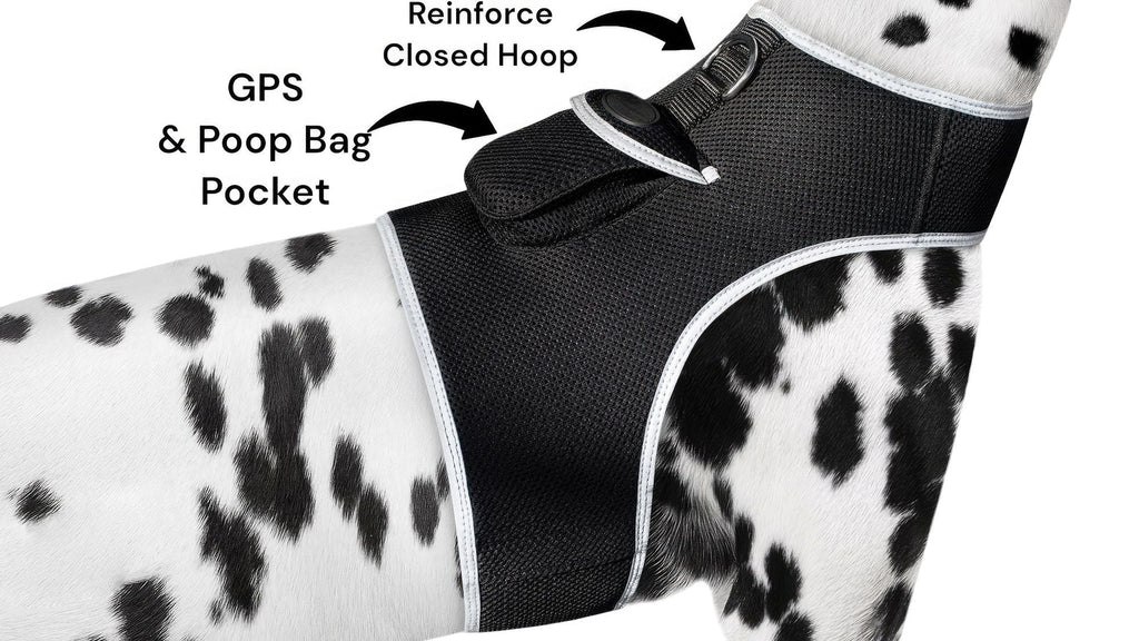 Get Realtime SMS/Live Tracking Data w/ Pet Tracker GPS Dog Collar Tracker Size:M - Dog Time Outlet