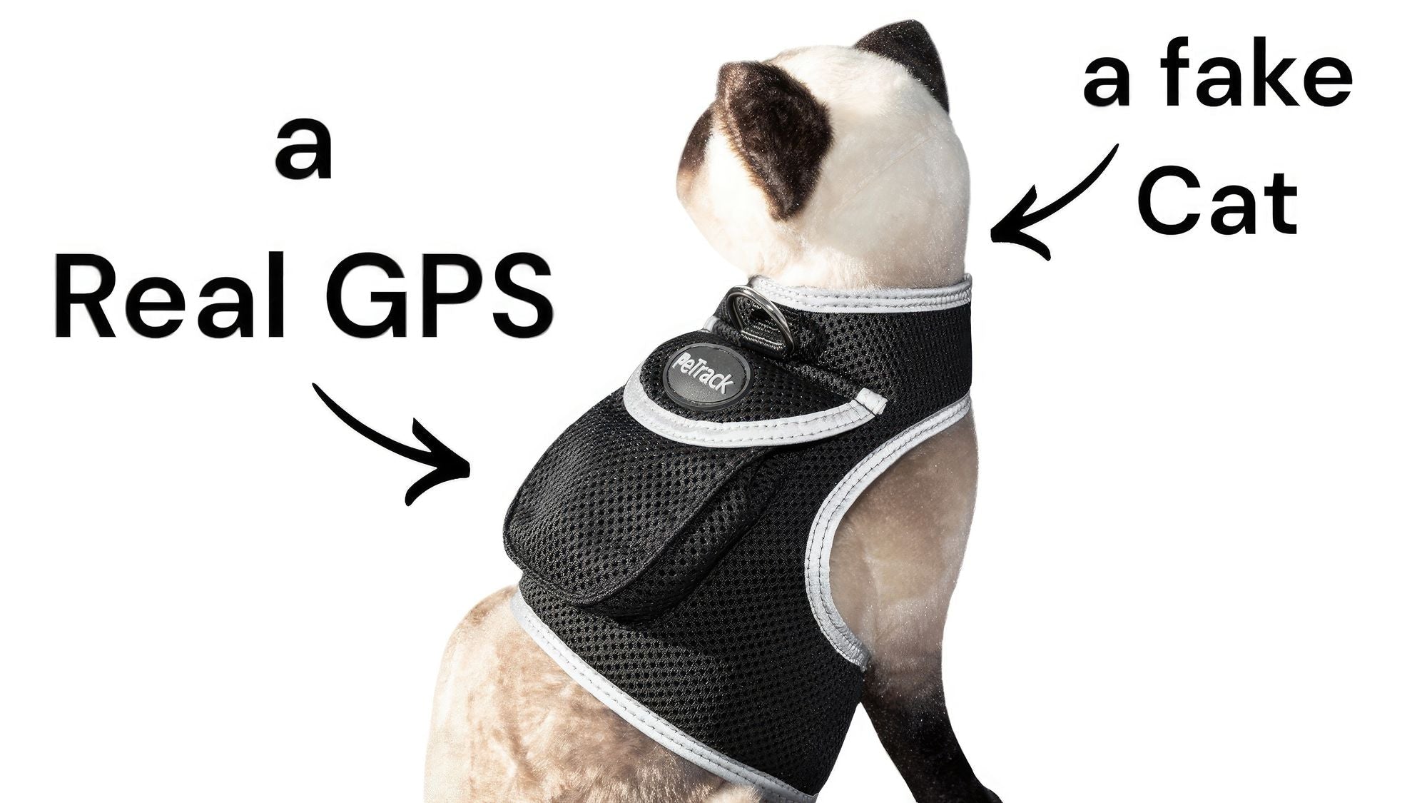 Get Realtime SMS/Live Tracking Data w/ Pet Tracker GPS Dog Collar Tracker Size:M - Dog Time Outlet