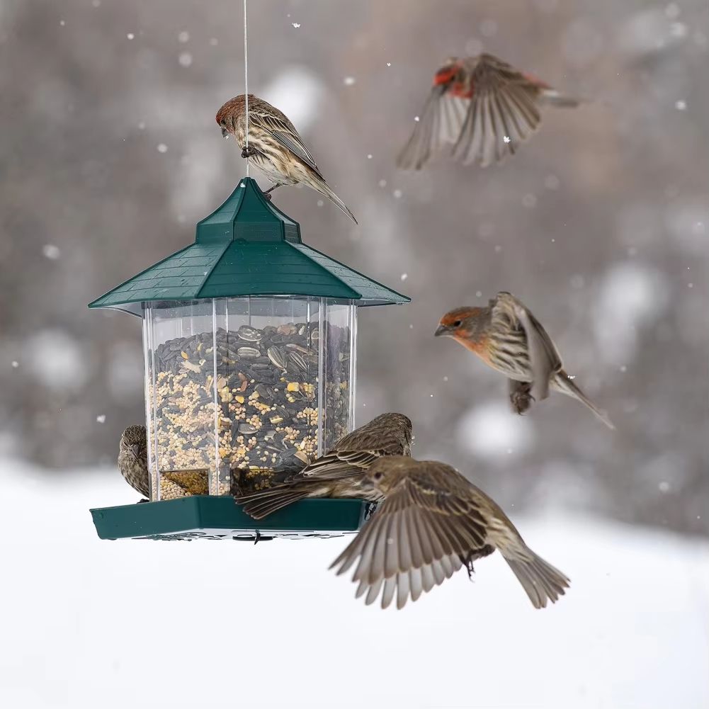 Hanging Gazebo Wild Bird Feeder Outdoor Bird Seed Station with Large Capacity 6 Feeder Ports for Garden Patio Park Weatherproof Easy To Refill - Dog Time Outlet