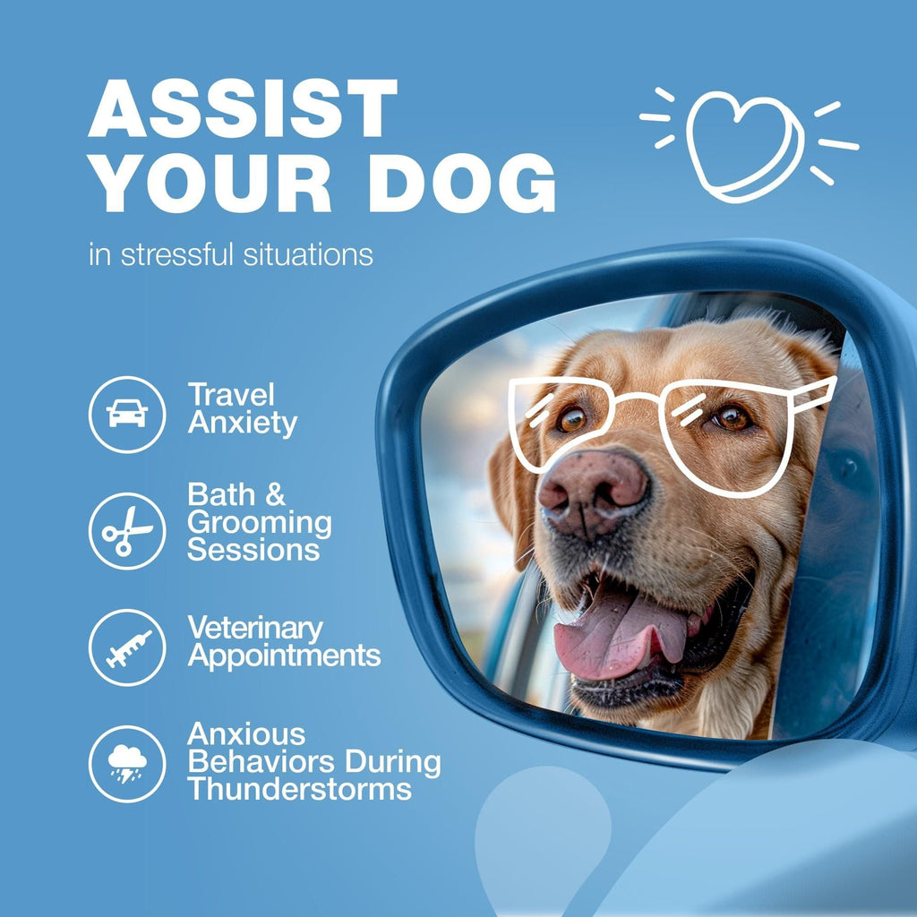 Hemp Calming Chews for Dogs Dog Calming Treats Anxiety Relief for Dogs with L Theanine Chamomile Extract Valerian Root Dog Anxiety Relief for Travel Vet Visits Thunderstorms Nail Trimming - Dog Time Outlet