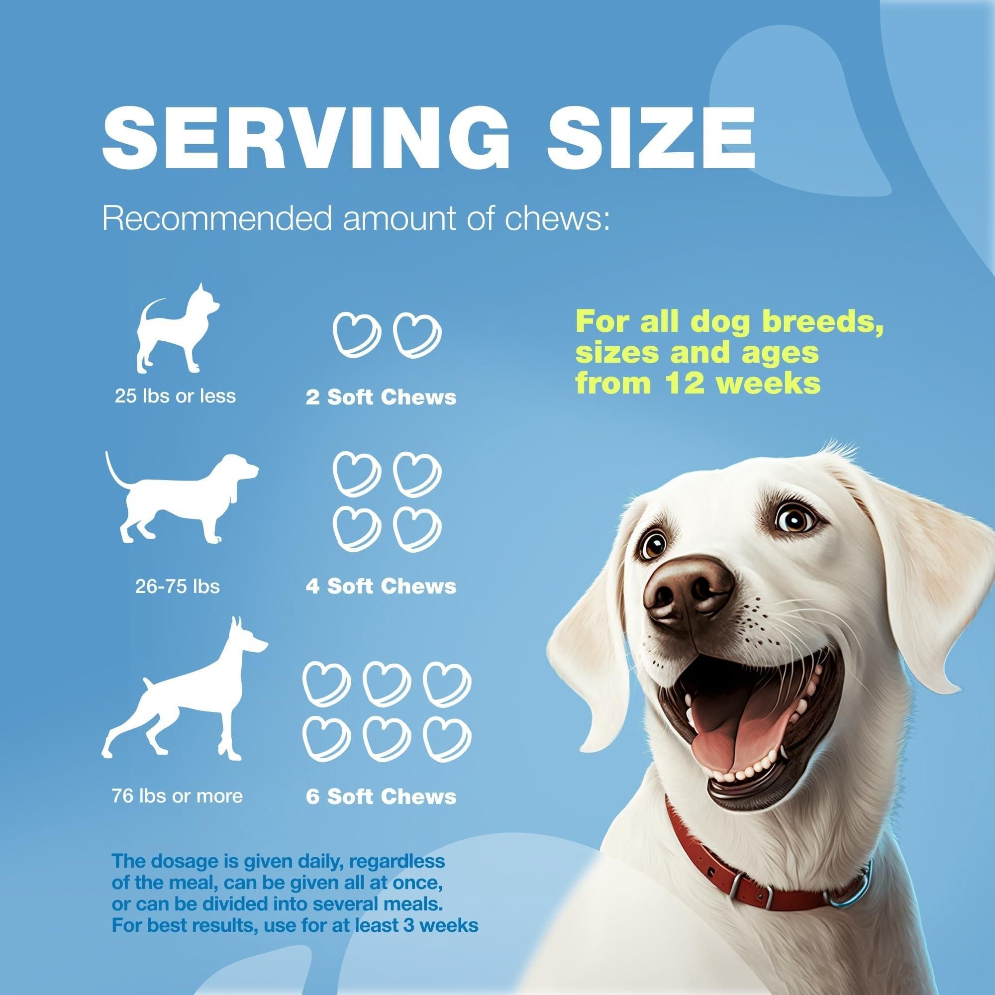 Hemp Calming Chews for Dogs Dog Calming Treats Anxiety Relief for Dogs with L Theanine Chamomile Extract Valerian Root Dog Anxiety Relief for Travel Vet Visits Thunderstorms Nail Trimming - Dog Time Outlet