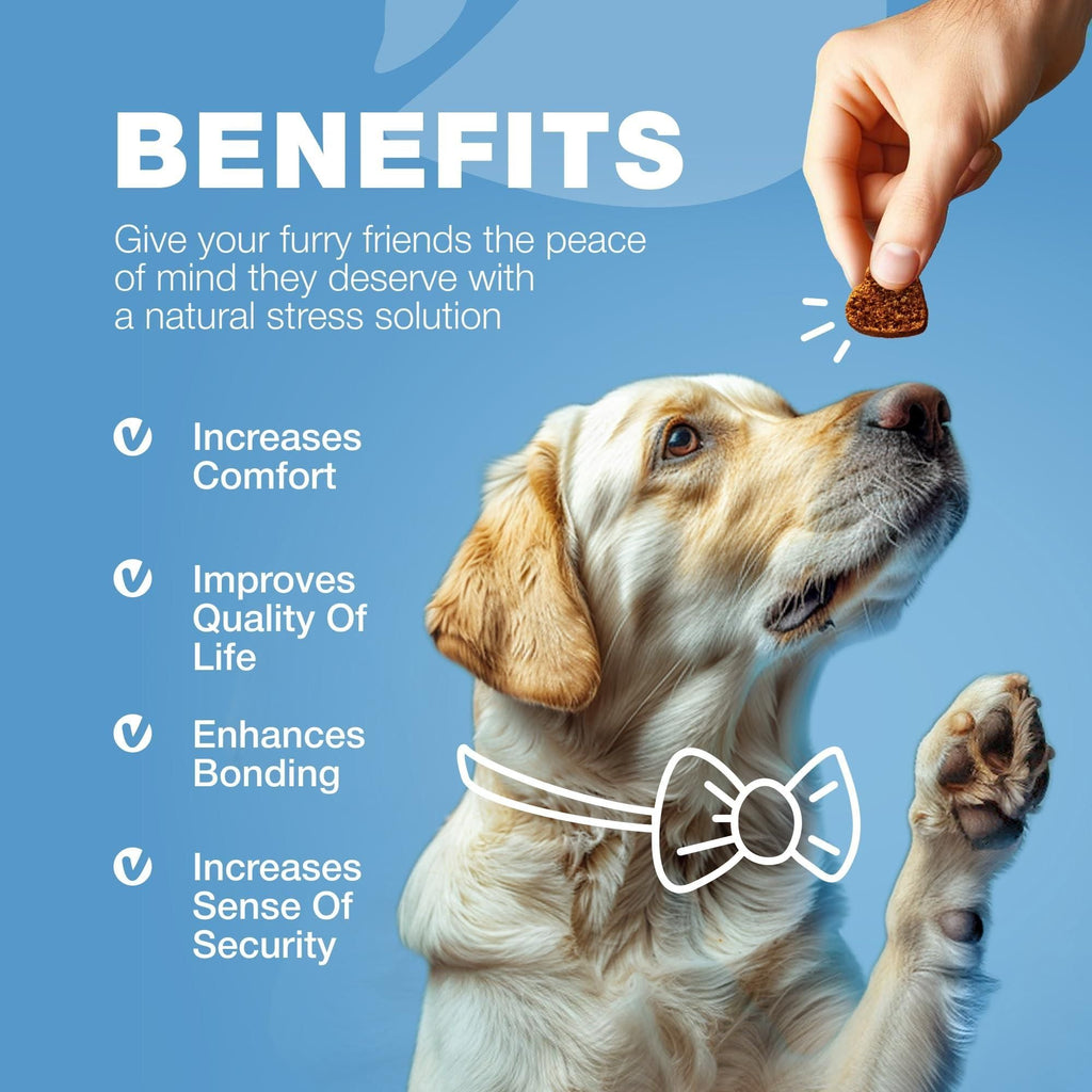 Hemp Calming Chews for Dogs Dog Calming Treats Anxiety Relief for Dogs with L Theanine Chamomile Extract Valerian Root Dog Anxiety Relief for Travel Vet Visits Thunderstorms Nail Trimming - Dog Time Outlet
