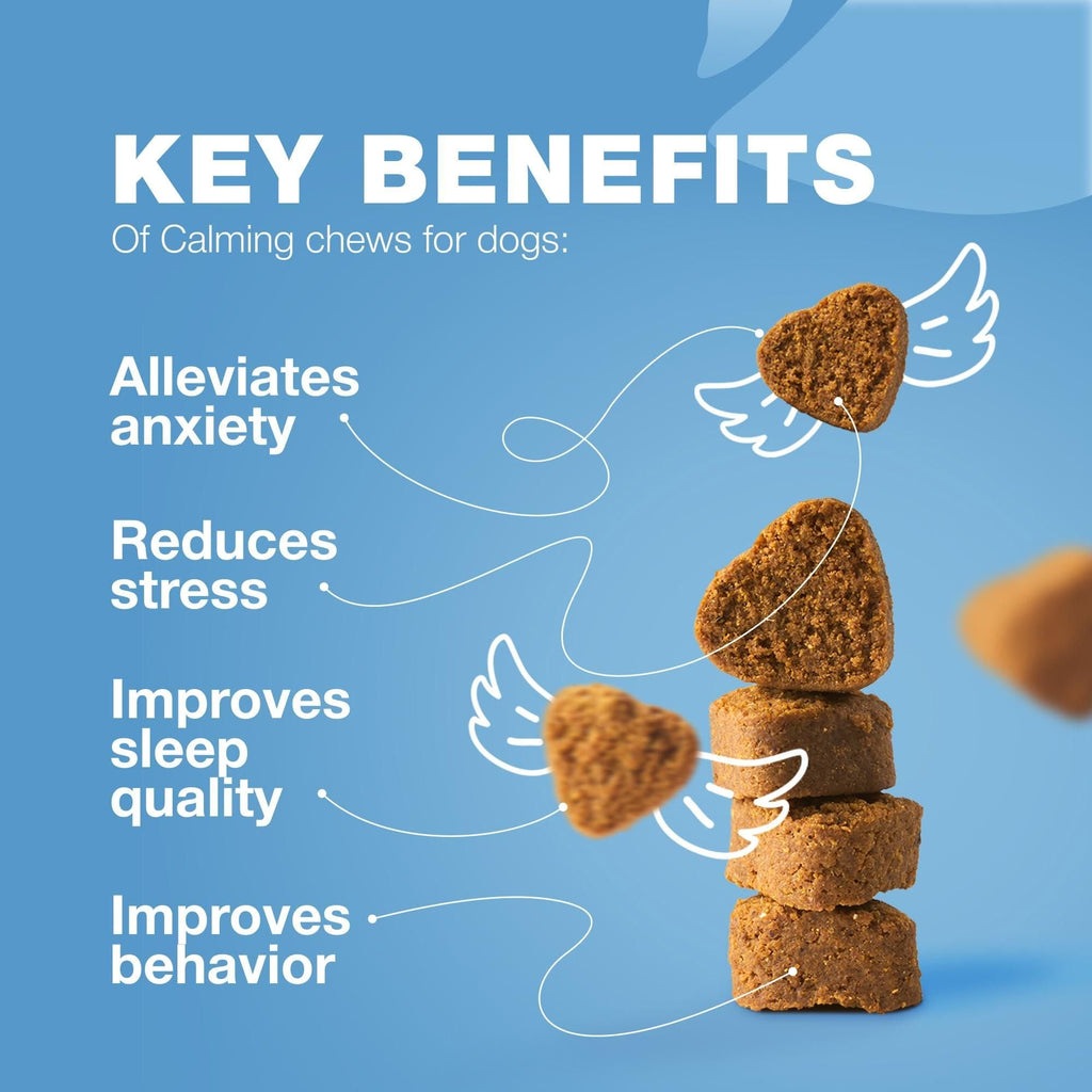 Hemp Calming Chews for Dogs Dog Calming Treats Anxiety Relief for Dogs with L Theanine Chamomile Extract Valerian Root Dog Anxiety Relief for Travel Vet Visits Thunderstorms Nail Trimming - Dog Time Outlet
