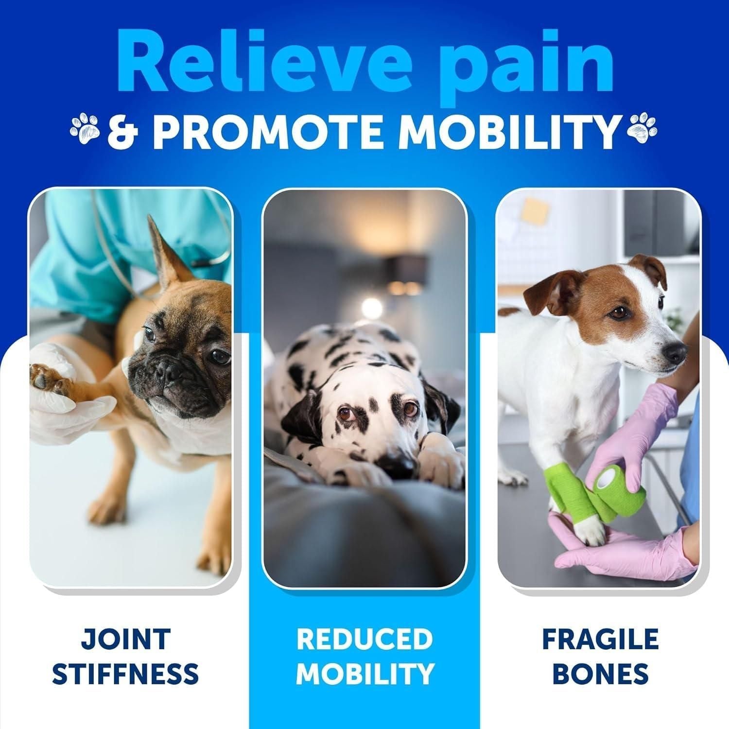 Hemp Hip and Joint Supplement for Dogs Glucosamine for Dogs Joint Pain Relief Chews with Chondroitin MSM Hemp Oil Mobility Support Canine Cartilage Health 120 Soft Treats Made in USA - Dog Time Outlet