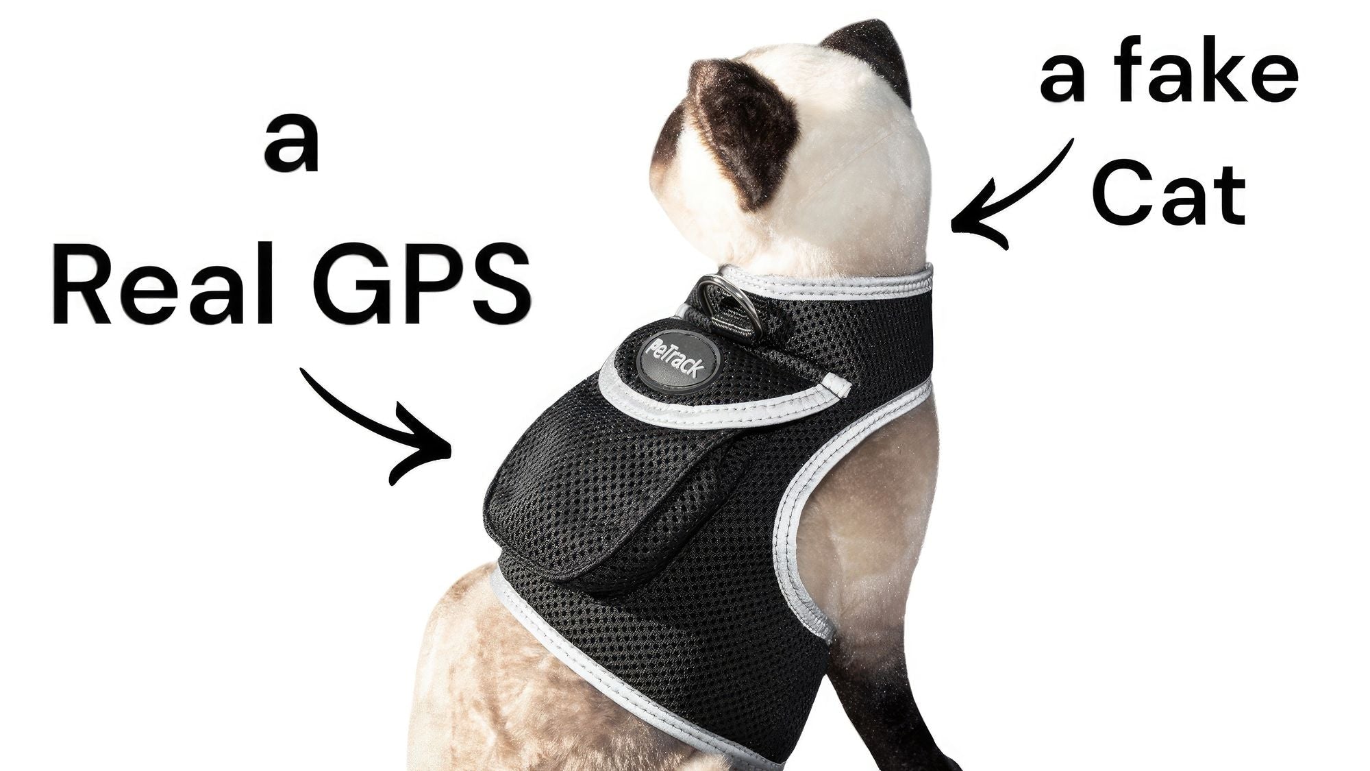 Inexpensive Dog Locator Device Waterproof + Perimeter Fencing Settings Size:XXL - Dog Time Outlet