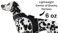 Inexpensive Dog Locator Device Waterproof + Perimeter Fencing Settings Size:XXL - Dog Time Outlet