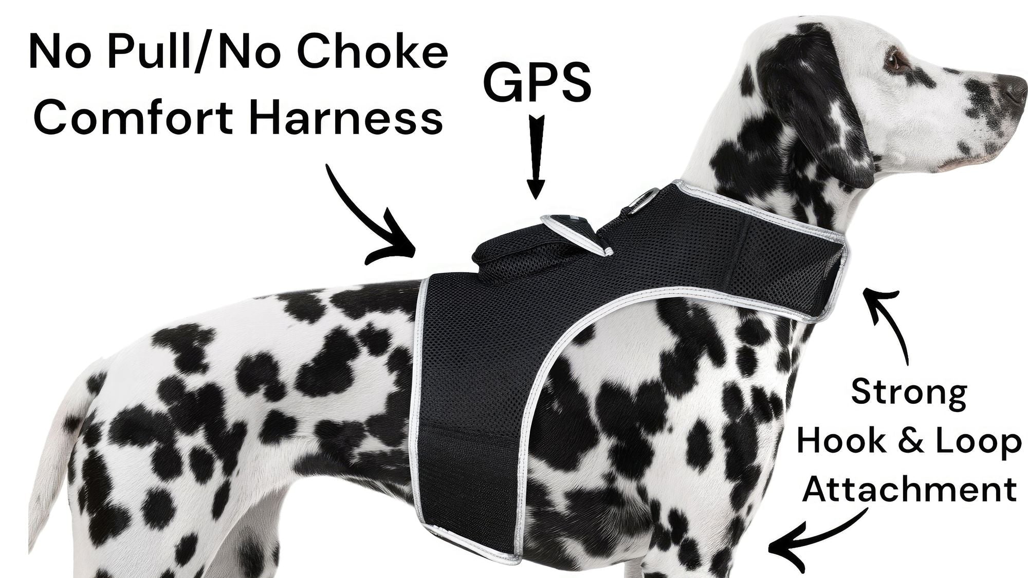 Inexpensive Dog Locator Device Waterproof + Perimeter Fencing Settings Size:XXL - Dog Time Outlet