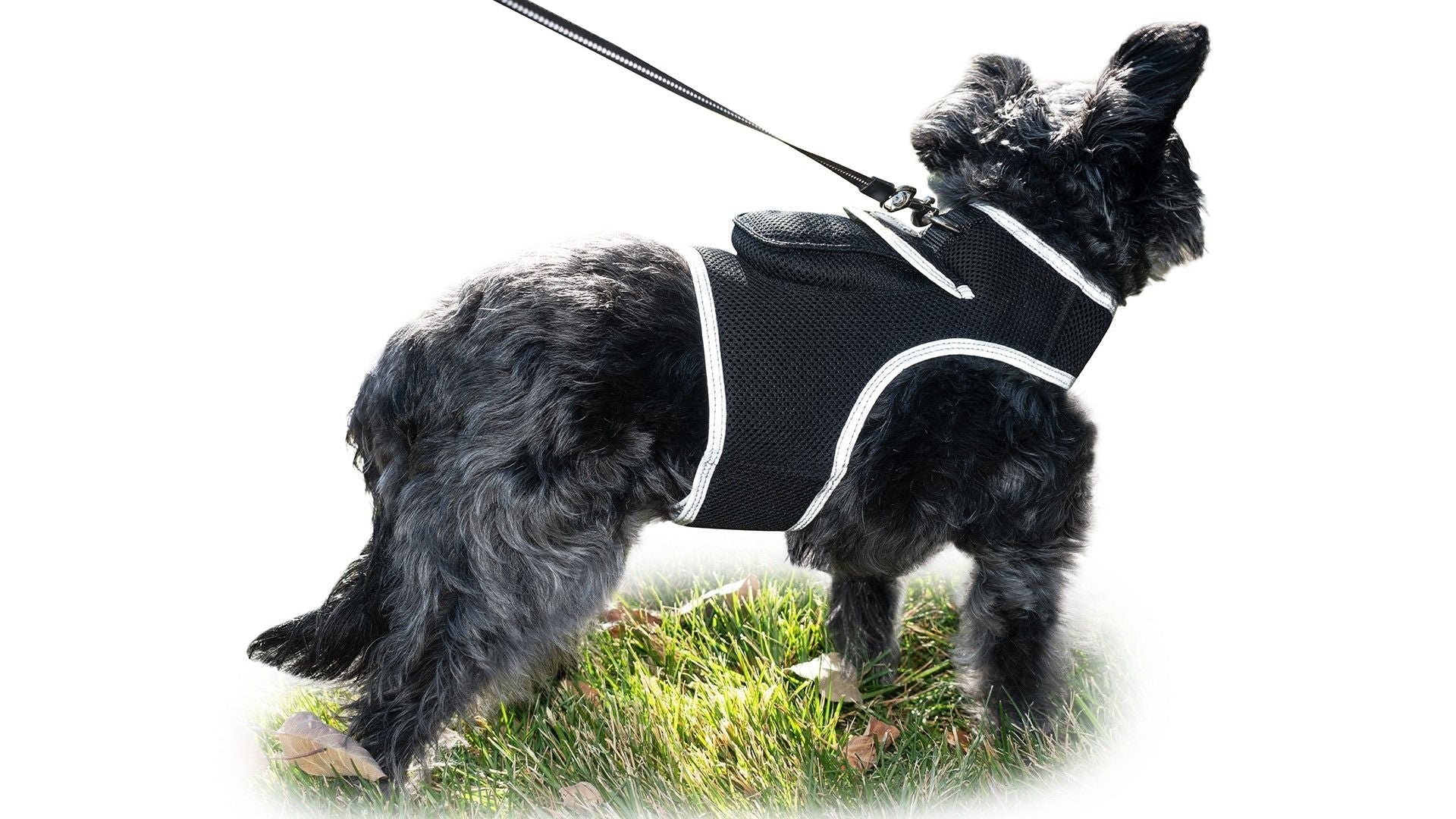 Inexpensive Dog Locator Device Waterproof + Perimeter Fencing Settings Size:XXL - Dog Time Outlet