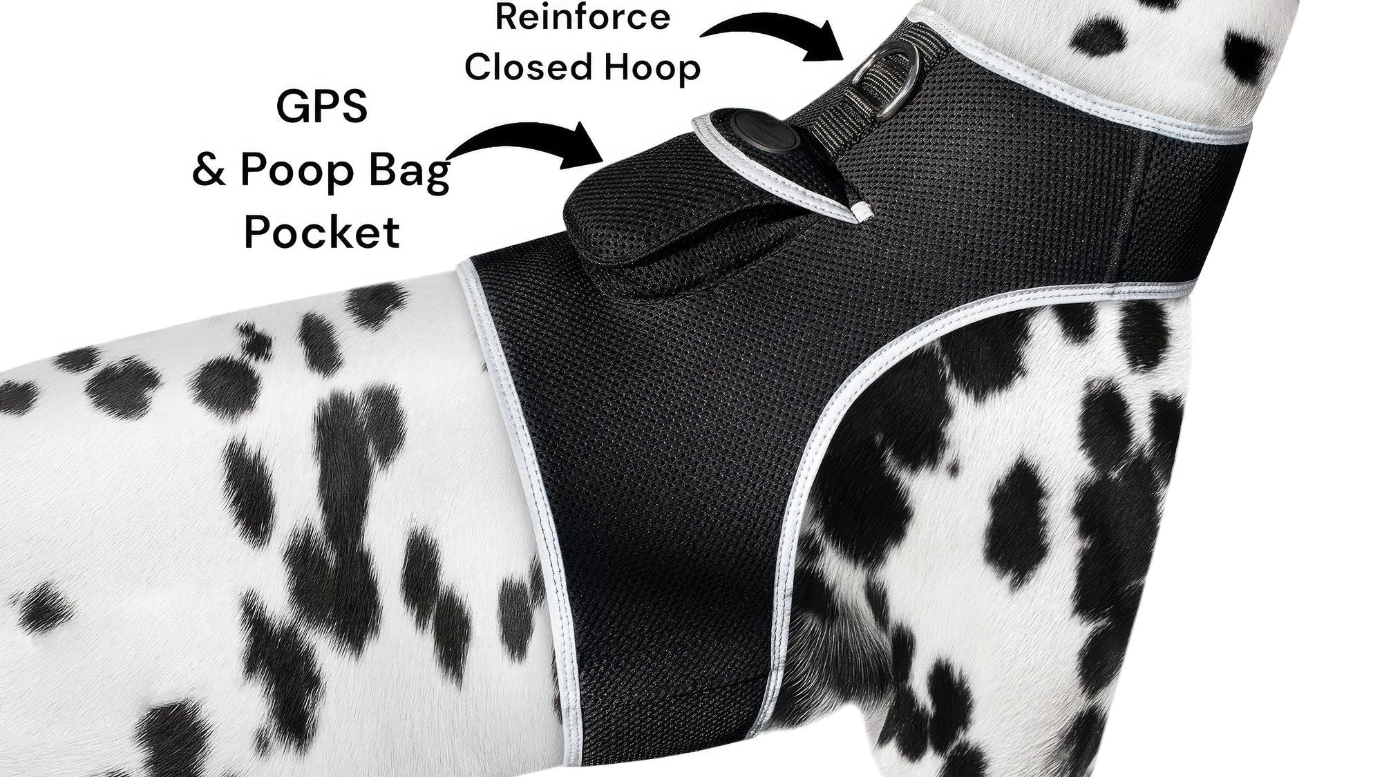 Inexpensive Dog Locator Device Waterproof + Perimeter Fencing Settings Size:XXL - Dog Time Outlet