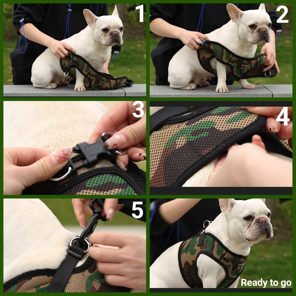 Mr. Peanut's PupTrek Soft Mesh Pet Harness with Matching Leash – Adjustable, Breathable, Choke - Free - Dog Time Outlet