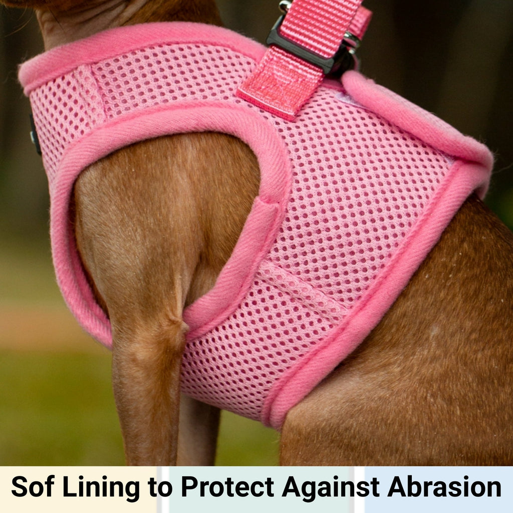 Mr. Peanut's PupTrek Soft Mesh Pet Harness with Matching Leash – Adjustable, Breathable, Choke - Free - Dog Time Outlet