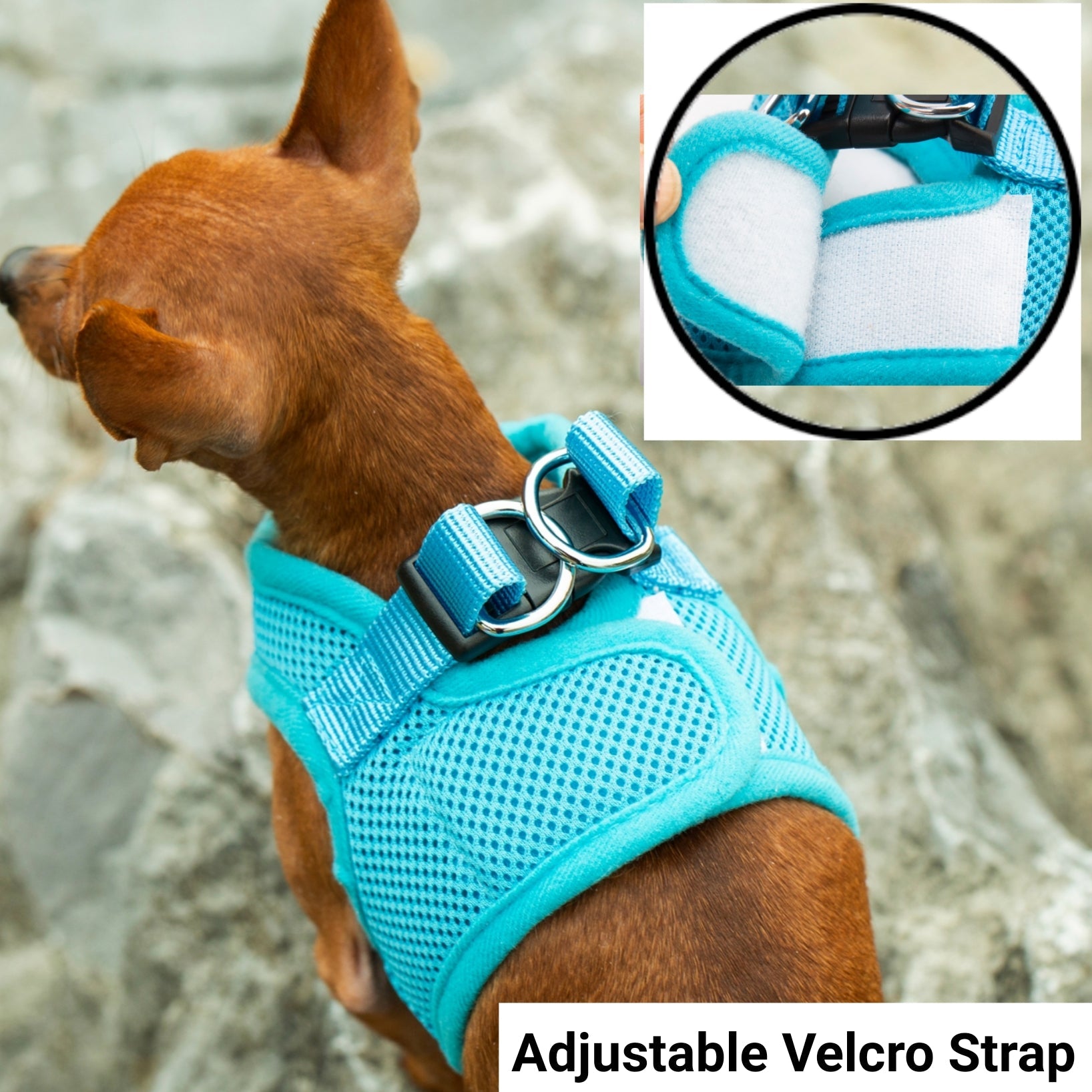 Mr. Peanut's PupTrek Soft Mesh Pet Harness with Matching Leash – Adjustable, Breathable, Choke - Free - Dog Time Outlet