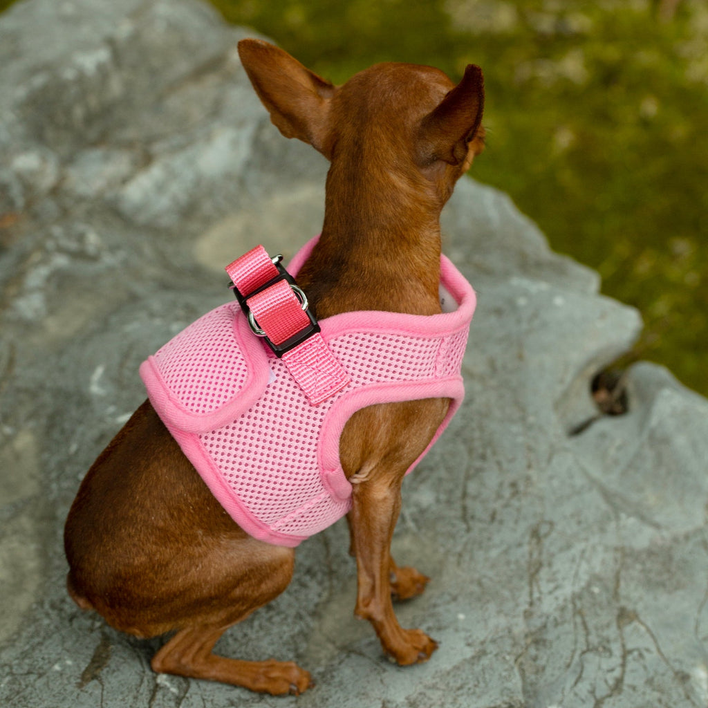 Mr. Peanut's PupTrek Soft Mesh Pet Harness with Matching Leash – Adjustable, Breathable, Choke - Free - Dog Time Outlet