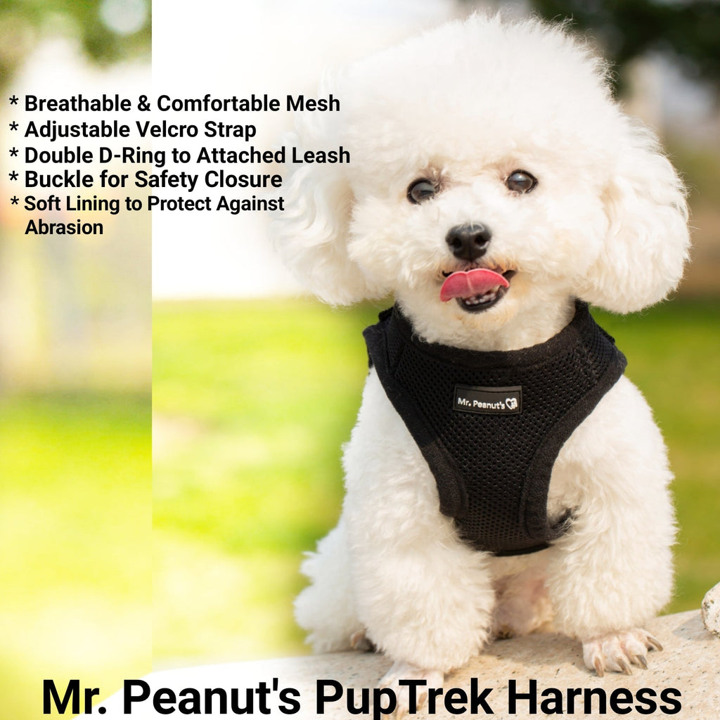 Mr. Peanut's PupTrek Soft Mesh Pet Harness with Matching Leash – Adjustable, Breathable, Choke - Free - Dog Time Outlet