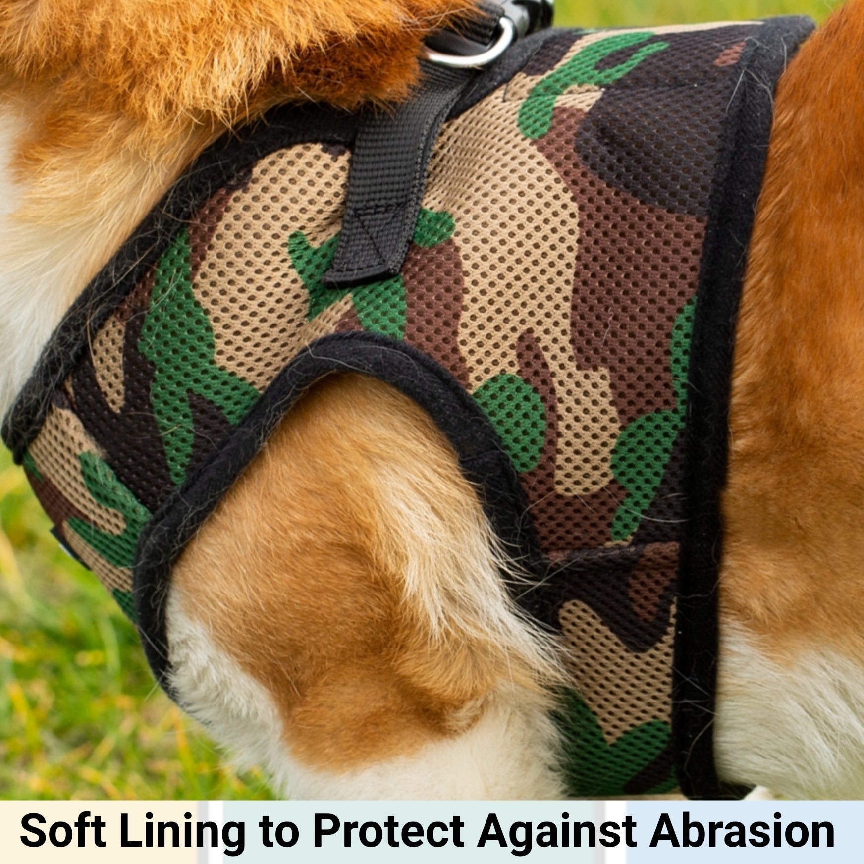 Mr. Peanut's PupTrek Soft Mesh Pet Harness with Matching Leash – Adjustable, Breathable, Choke - Free - Dog Time Outlet